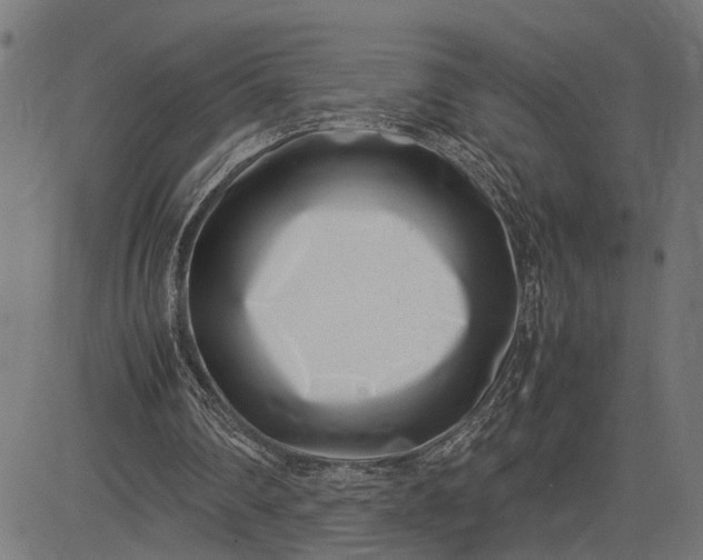 X0000082700290200702091729