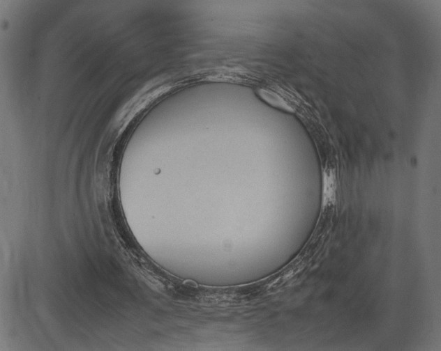 X0000082700291200702091729