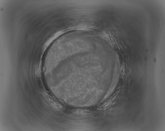 X0000082700292200702091729