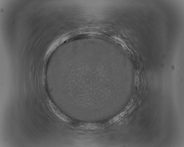 X0000082700293200702091729