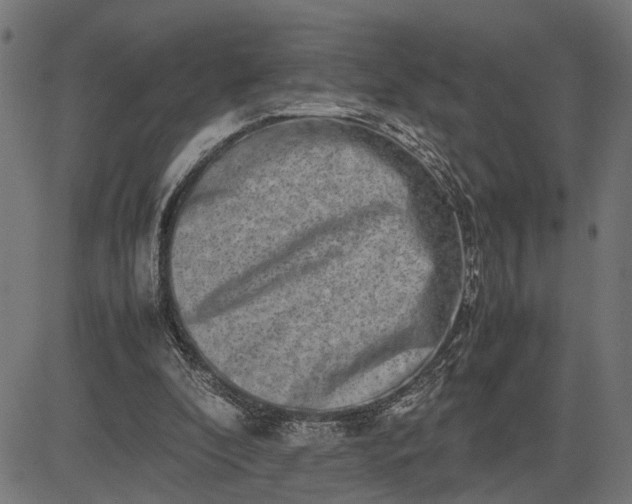 X0000082700296200702091729