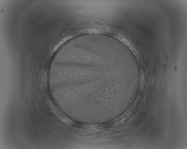 X0000082700297200702091729