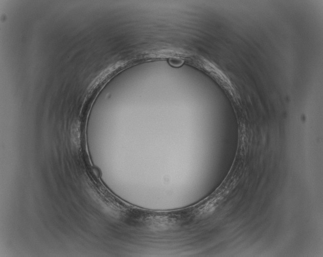 X0000082700298200702091729