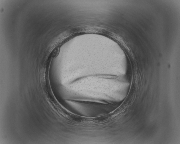 X0000082700299200702091729