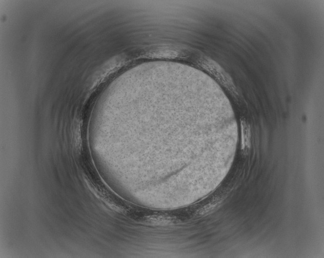 X0000082700300200702091729