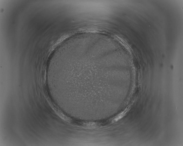 X0000082700301200702091729