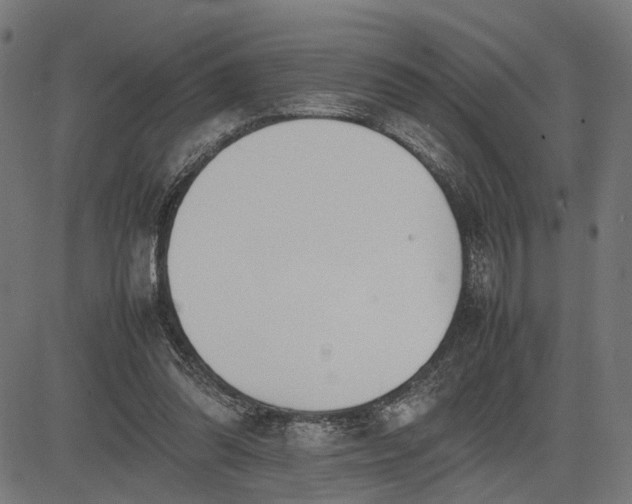 X0000082700302200702091729