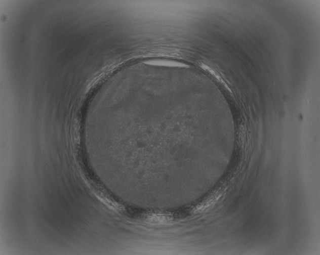 X0000082700303200702091729