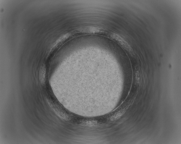 X0000082700304200702091729