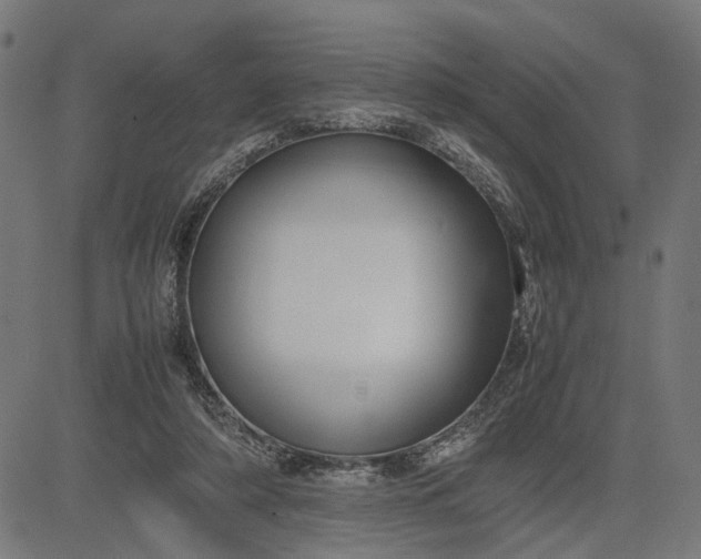 X0000082700306200702091729