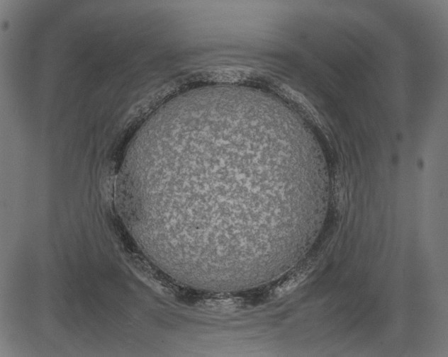 X0000082700307200702091729