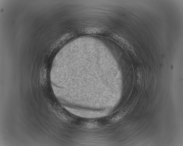 X0000082700308200702091729