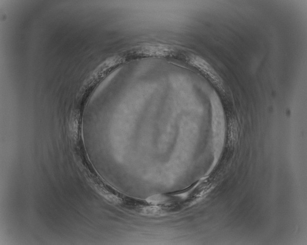 X0000082700309200702091729