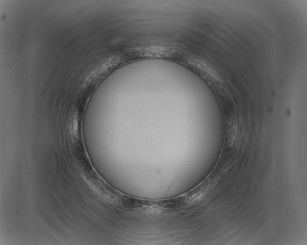 X0000082700310200702091729