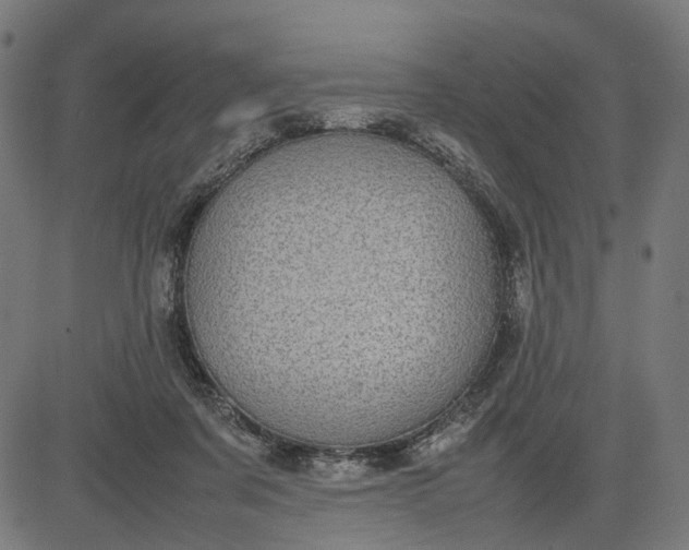 X0000082700311200702091729