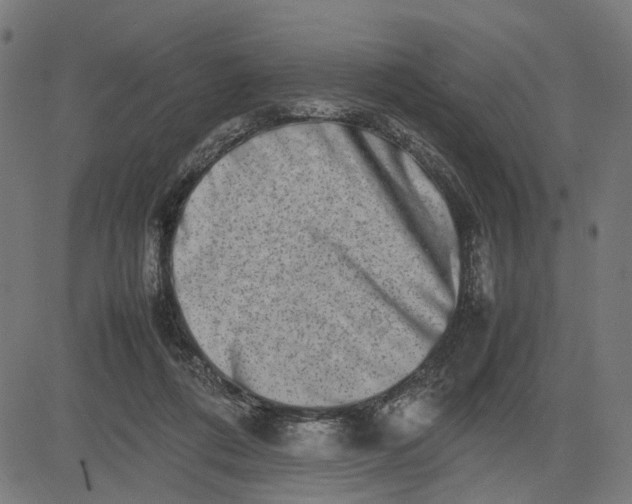 X0000082700312200702091729