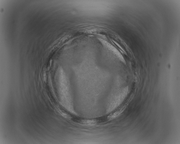 X0000082700313200702091729