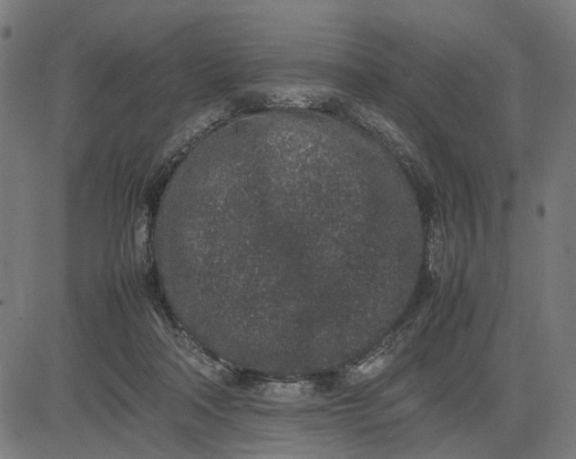 X0000082700314200702091729