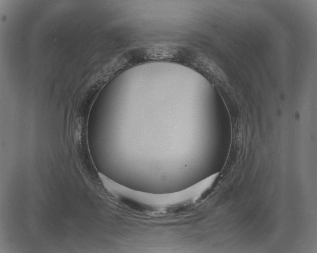 X0000082700315200702091729