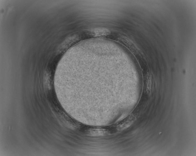 X0000082700316200702091729