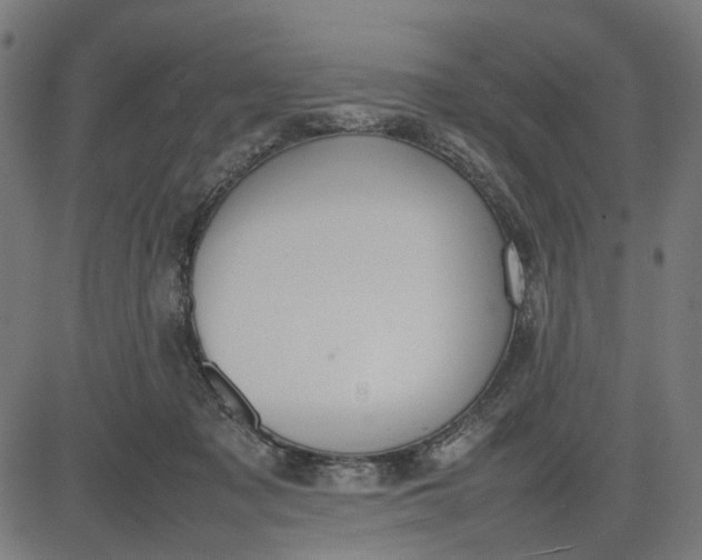 X0000082700317200702091729