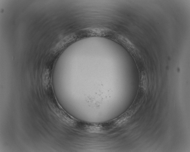 X0000082700318200702091729