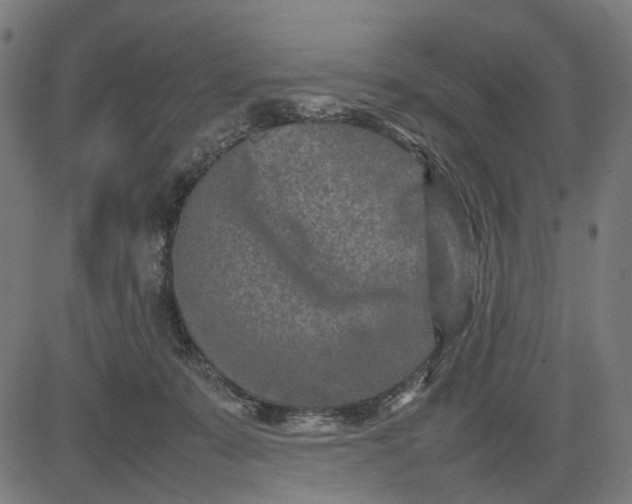 X0000082700319200702091729