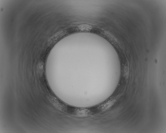 X0000082700321200702091729