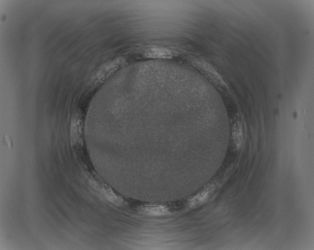 X0000082700322200702091729