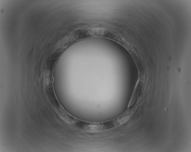 X0000082700323200702091729