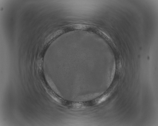 X0000082700325200702091729