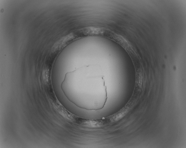 X0000082700326200702091729