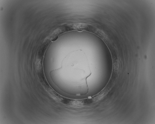 X0000082700327200702091729