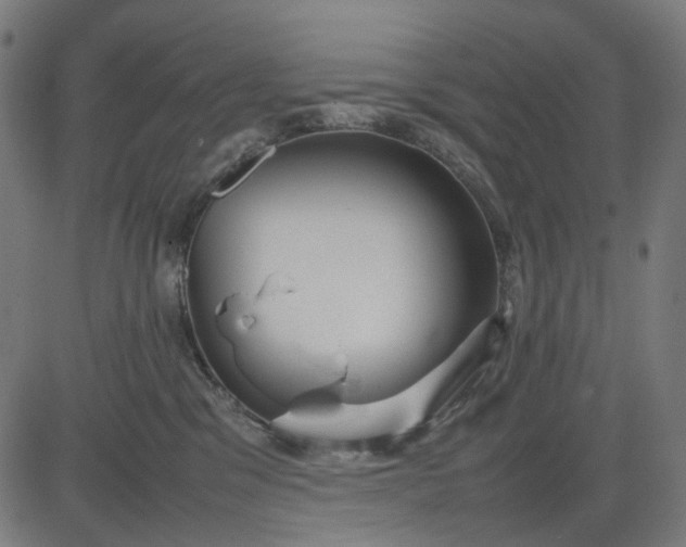 X0000082700329200702091729