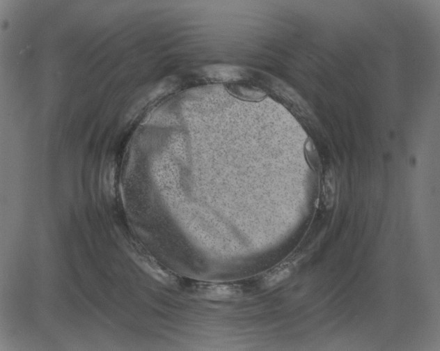 X0000082700330200702091729