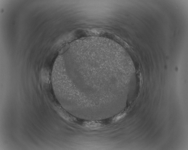 X0000082700331200702091729