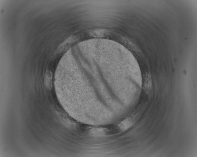 X0000082700332200702091729