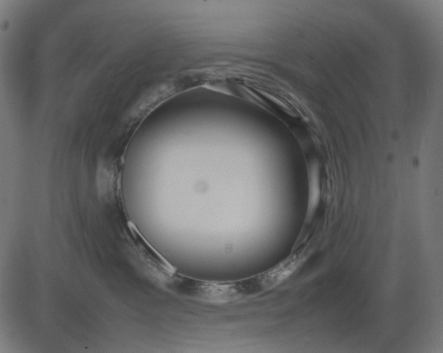 X0000082700333200702091729