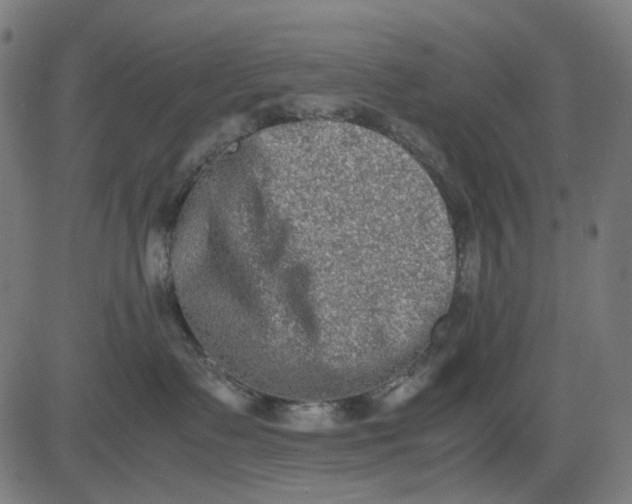 X0000082700335200702091729