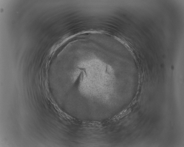 X0000082700337200702091728