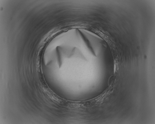 X0000082700339200702091728