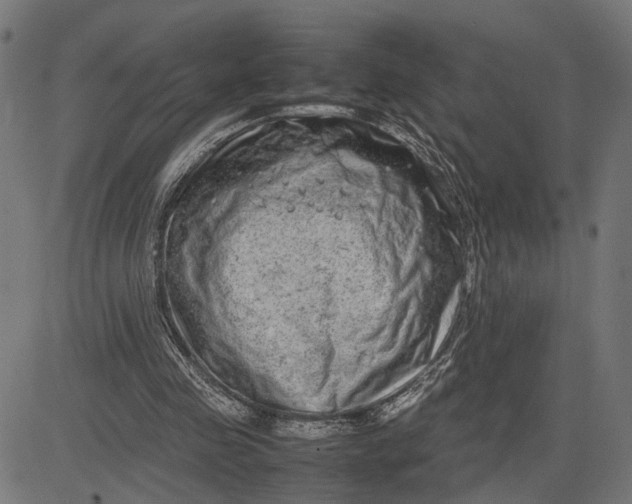 X0000082700341200702091728