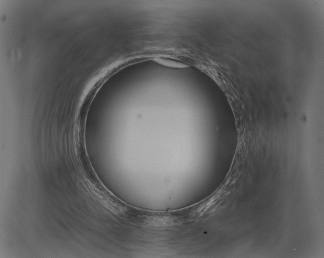 X0000082700342200702091728