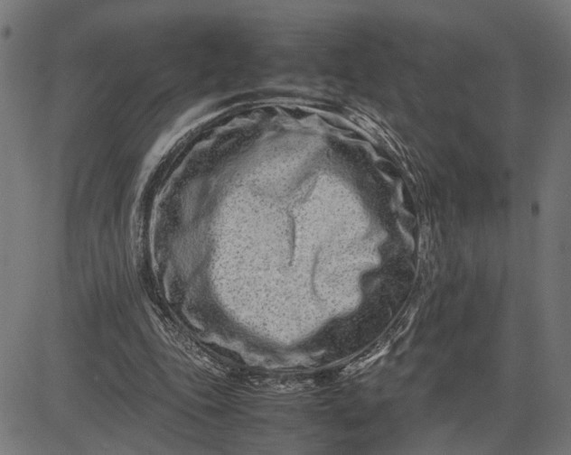 X0000082700343200702091728