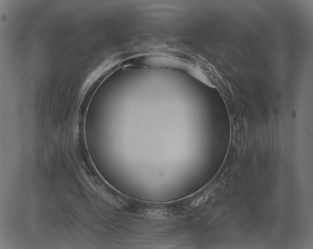 X0000082700344200702091728