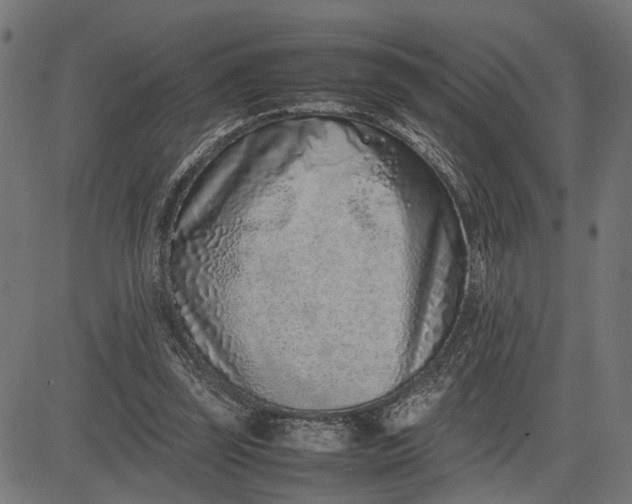 X0000082700347200702091728