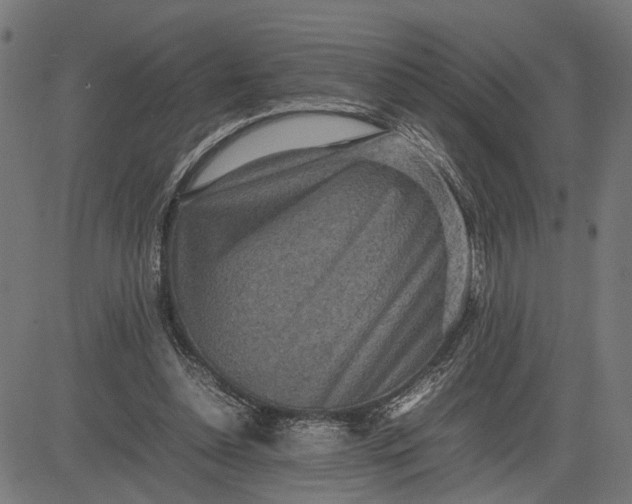 X0000082700348200702091728