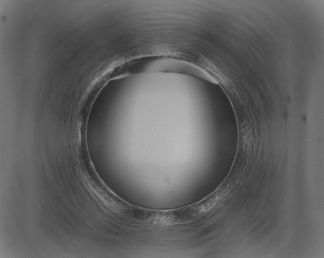 X0000082700350200702091728