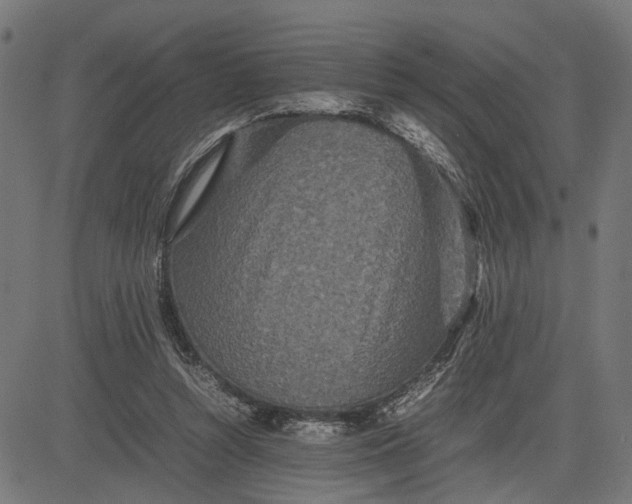 X0000082700352200702091728