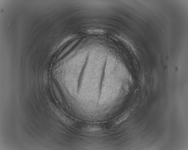 X0000082700353200702091728